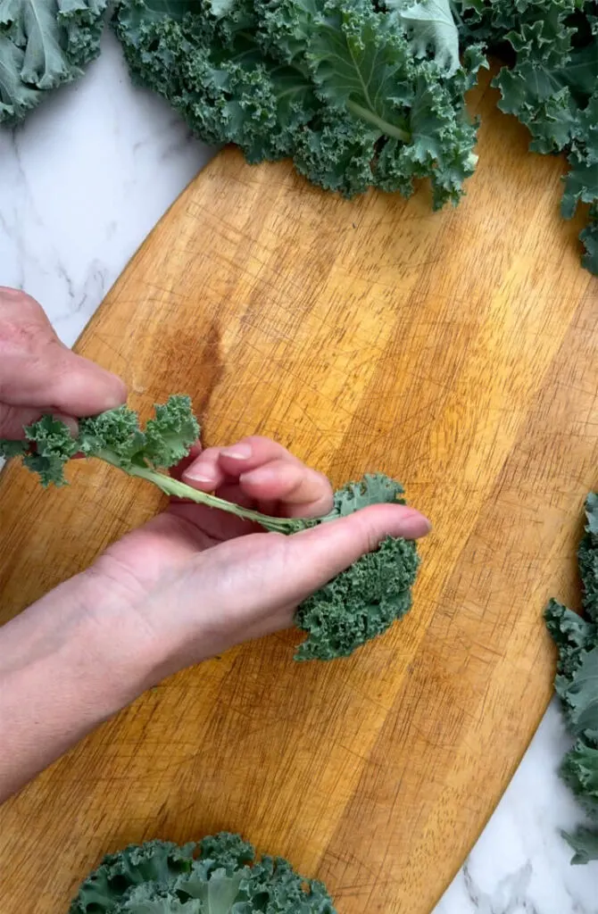 Removing kale from the stem.