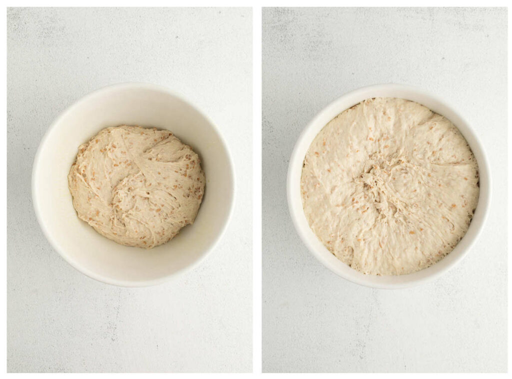 On the left is before proofing and on the right is after proofing the dough.