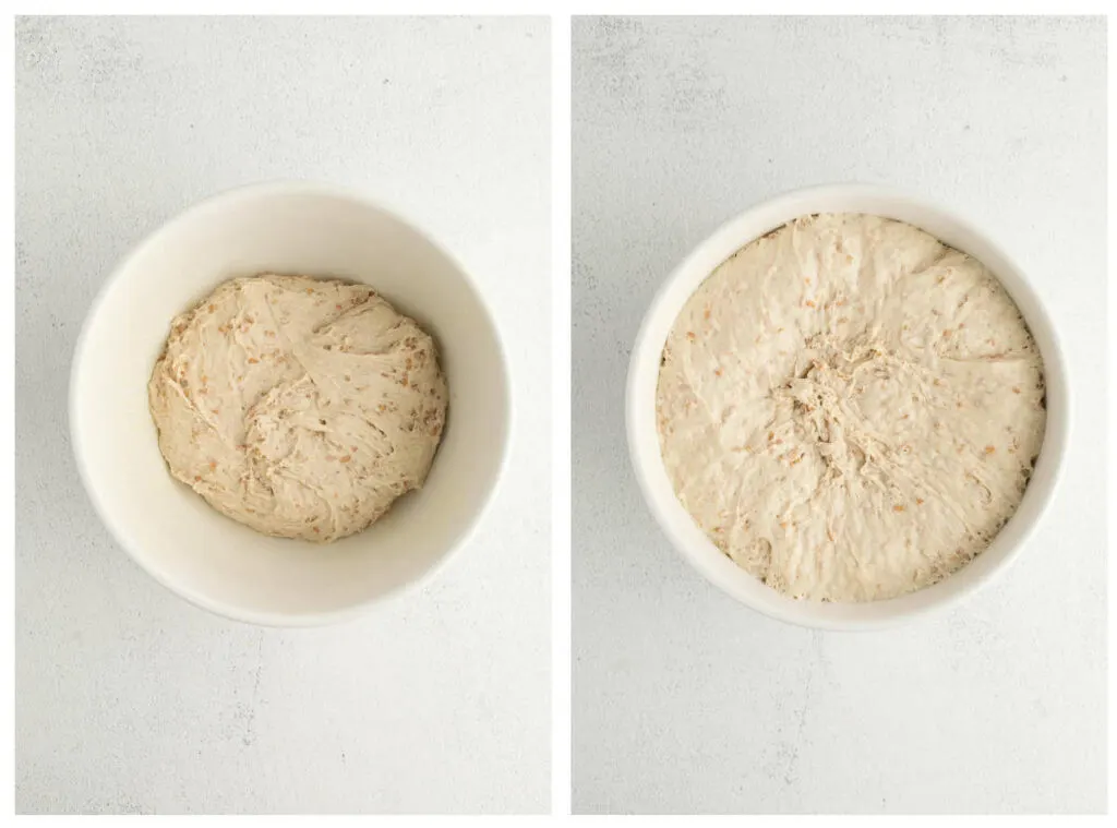 On the left is before proofing and on the right is after proofing the dough.