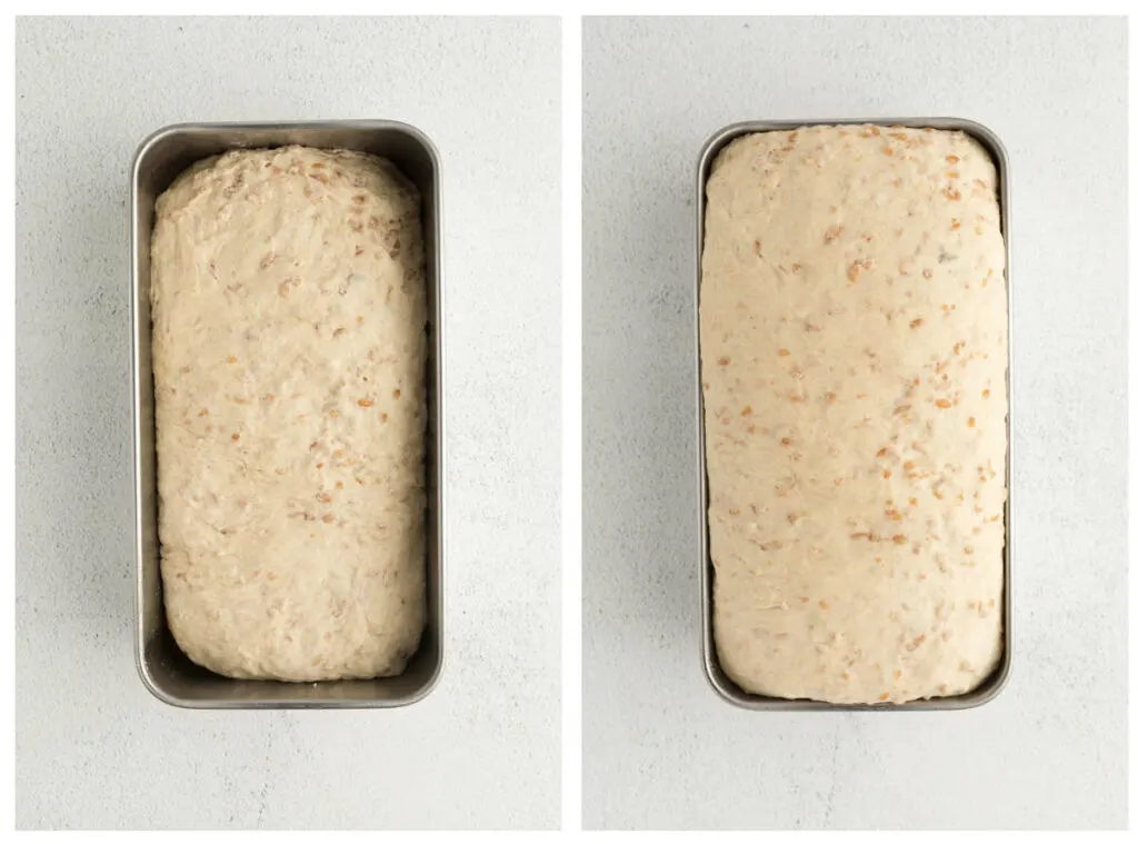 Two photos showing the cracked wheat bread in a loaf pan before and after the second proof.