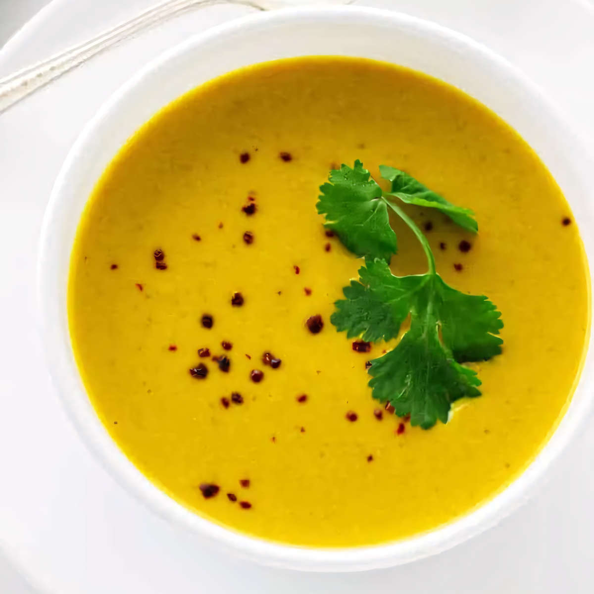 Pumpkin soup with coconut milk topped with parsley.