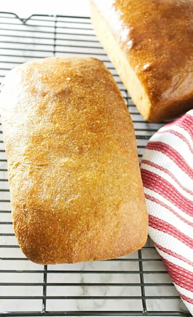 A loaf of warm, freshly baked sprouted wheat bread on a cooling rack.