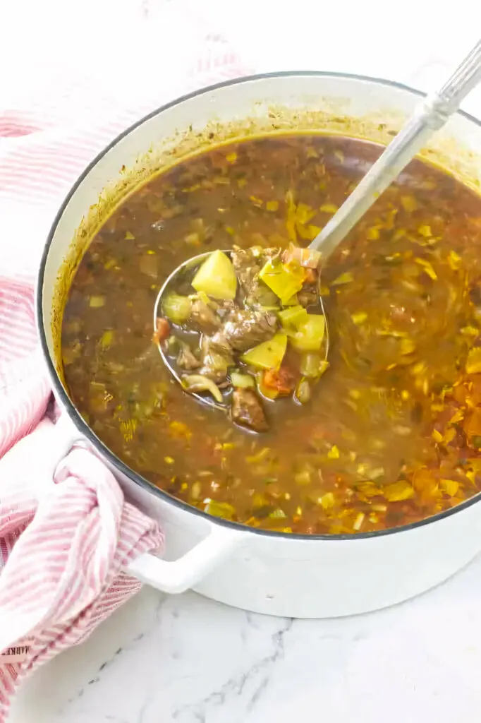 A pot of vegetable and beef soup with a large ladle.