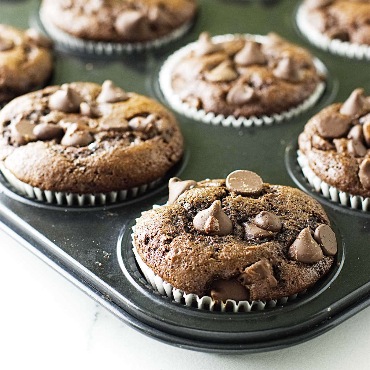 Chocolate einkorn muffins in a muffin tin.