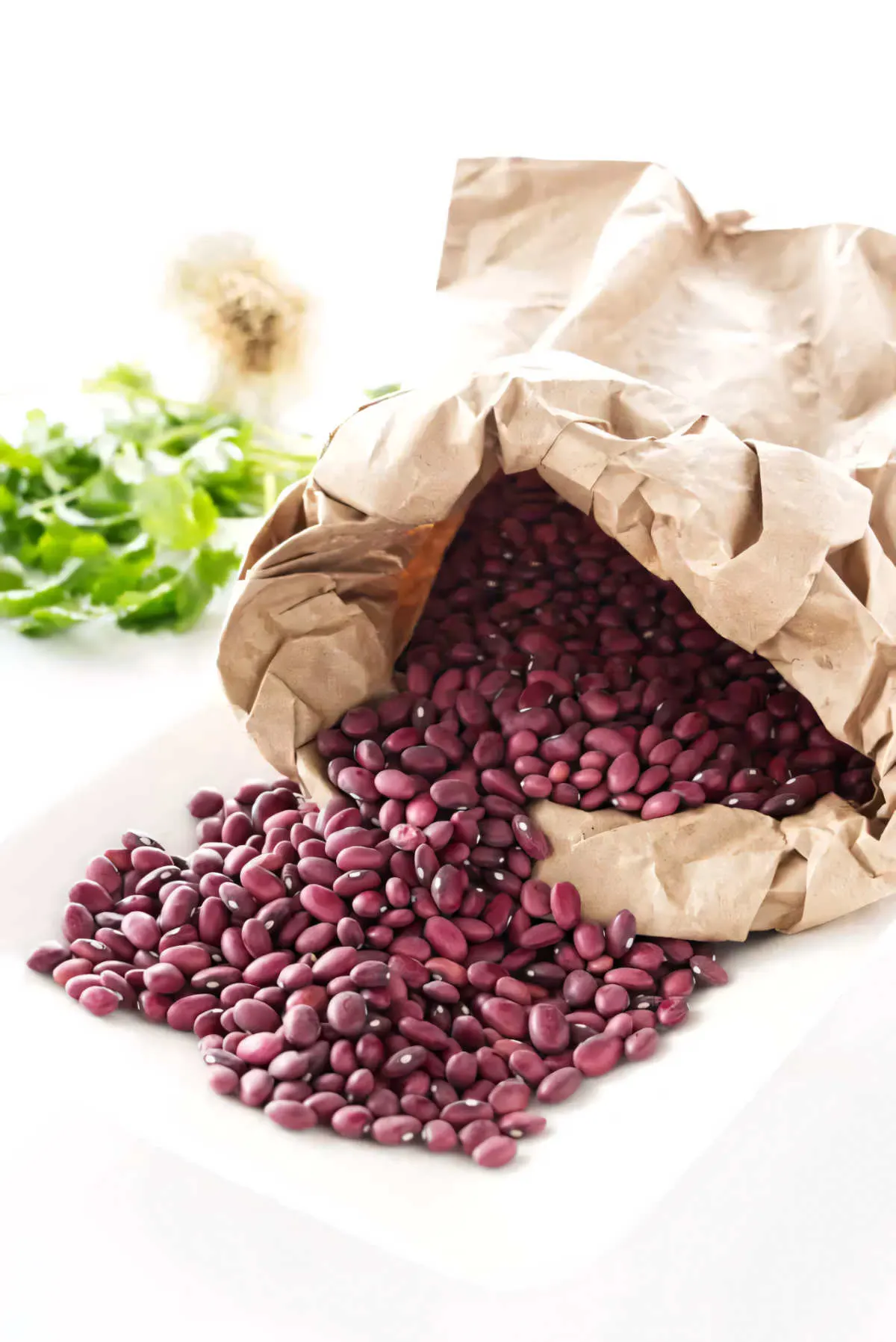 A brown bag filled with dried red beans.