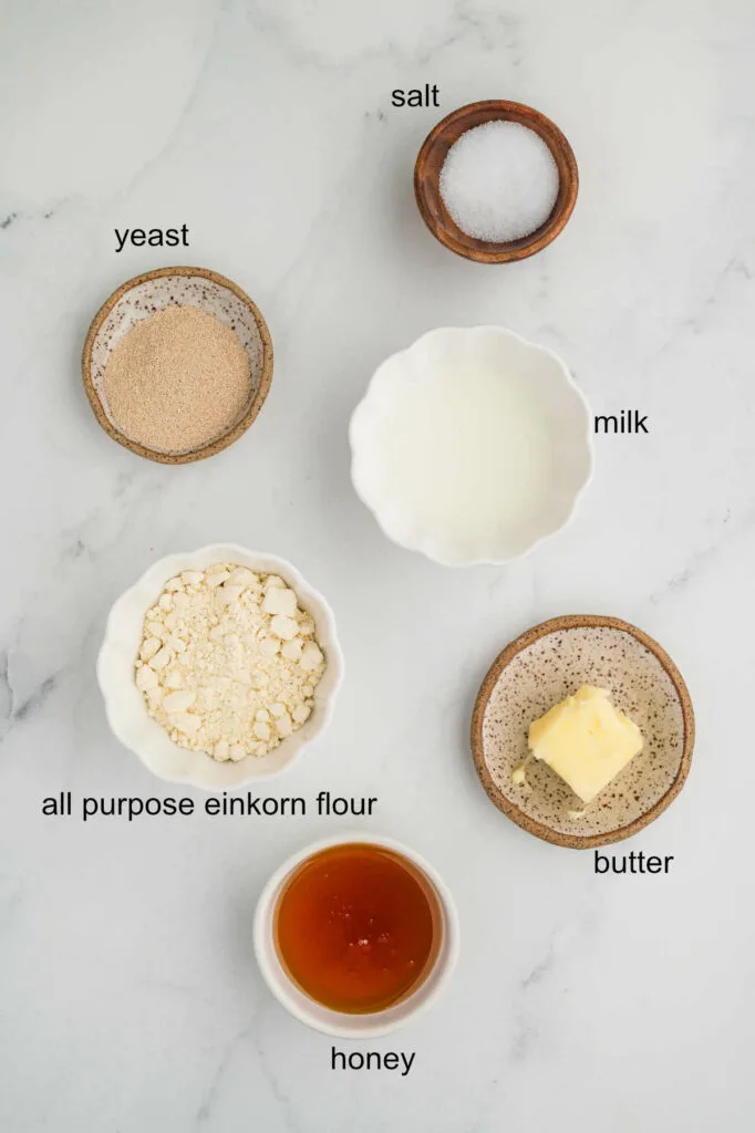 Ingredients used to make einkorn flour bread.