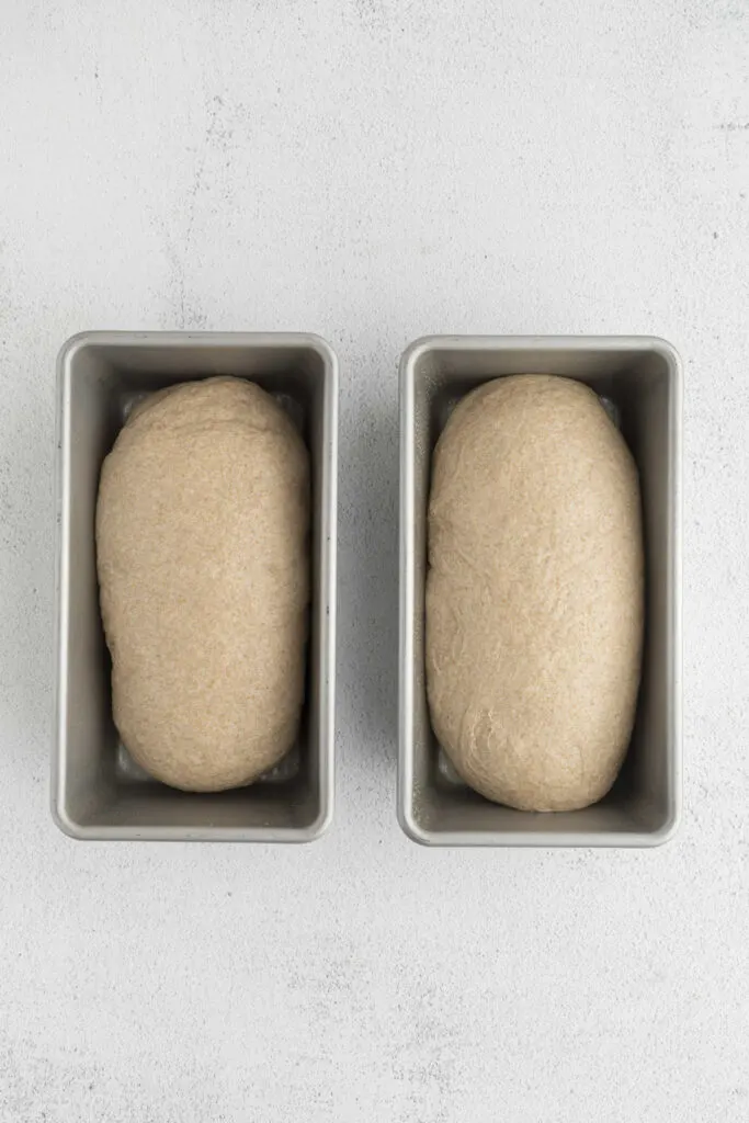 Two loaf pans with shaped bread dough ready for the final proof.