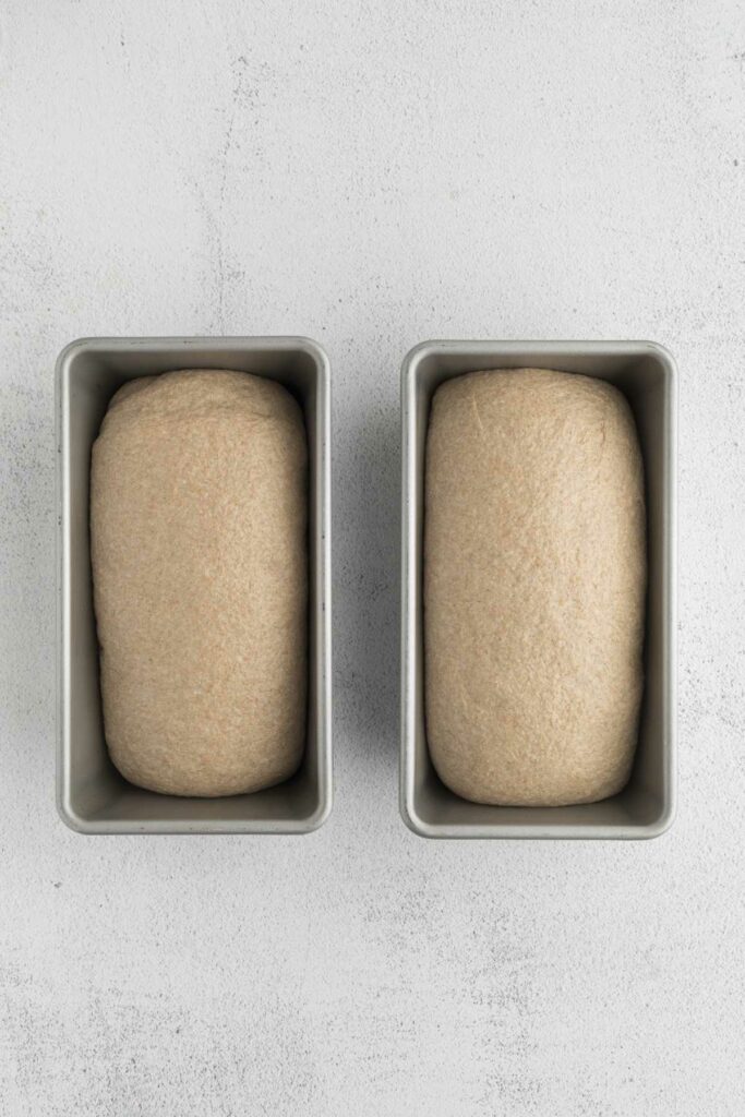 Bread dough in two loaf pans ready for the oven.