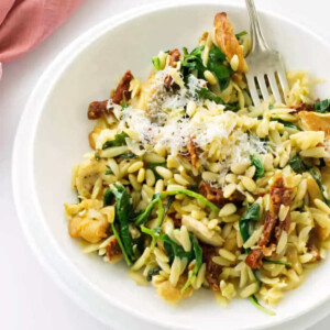 A fork in a bowl with chicken orzo.