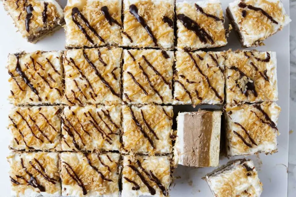 A samoa flavored dessert bar topped with toasted coconut, caramel, and chocolate.