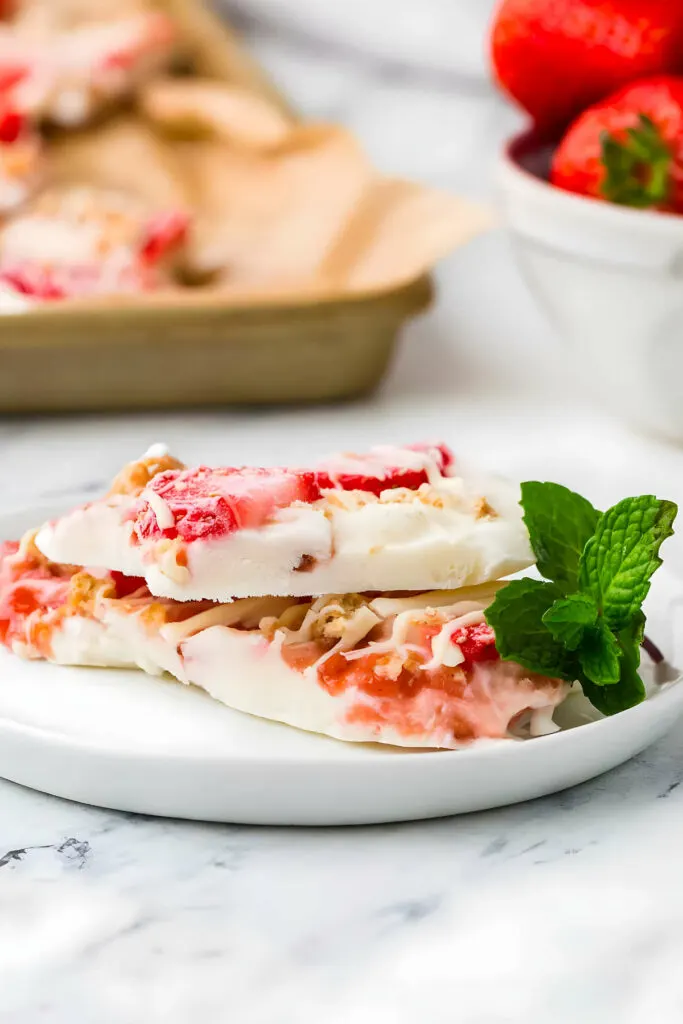 Frozen yogurt snack on a plate with mint garnish. 