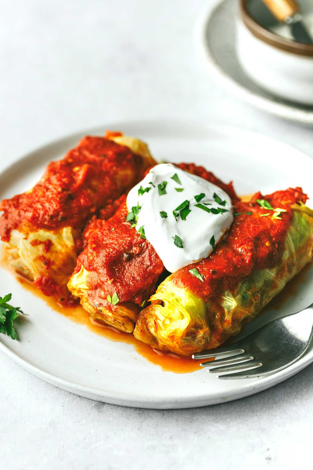 Stuffed Cabbage Rolls - Savor the Best