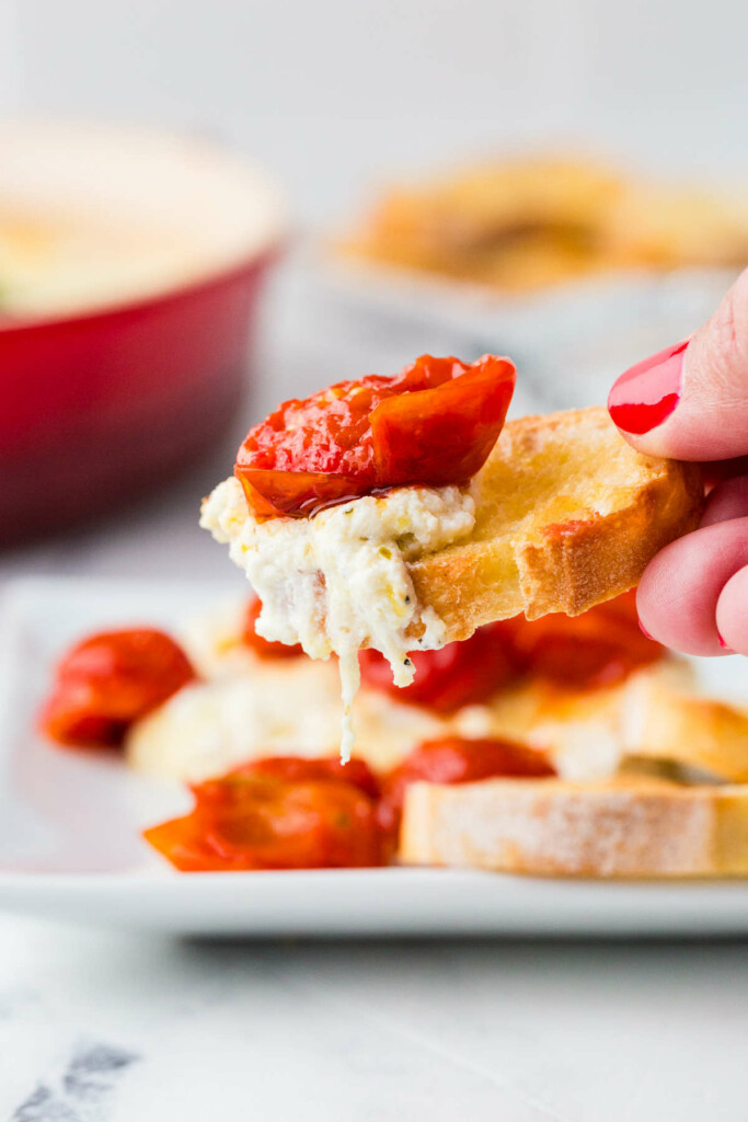 An easy ricotta cheese dip on a chip with roasted tomatoes.