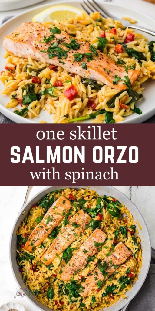 A dinner plate filled with lemon orzo with salmon.