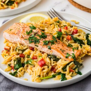 A one pot salmon and orzo on a white plate.