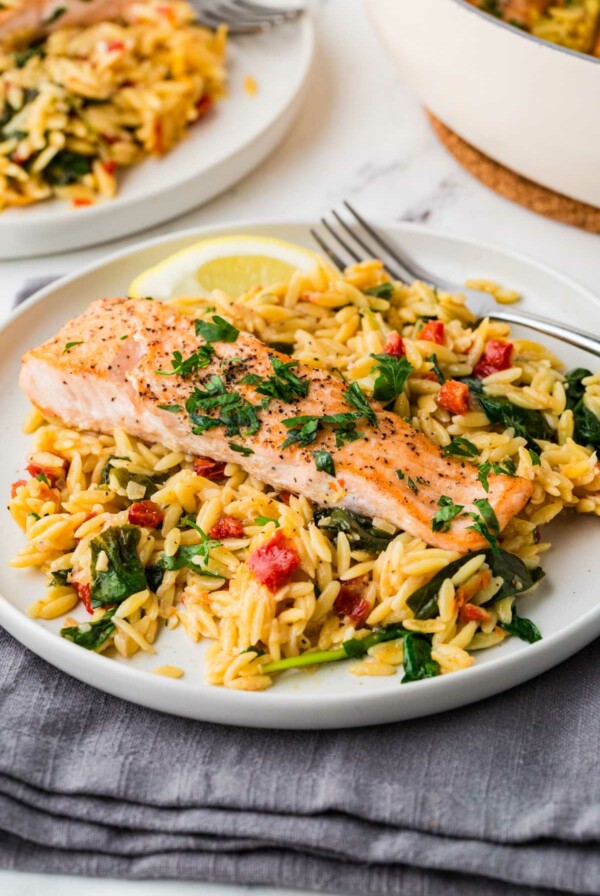 A one pot salmon and orzo on a white plate.