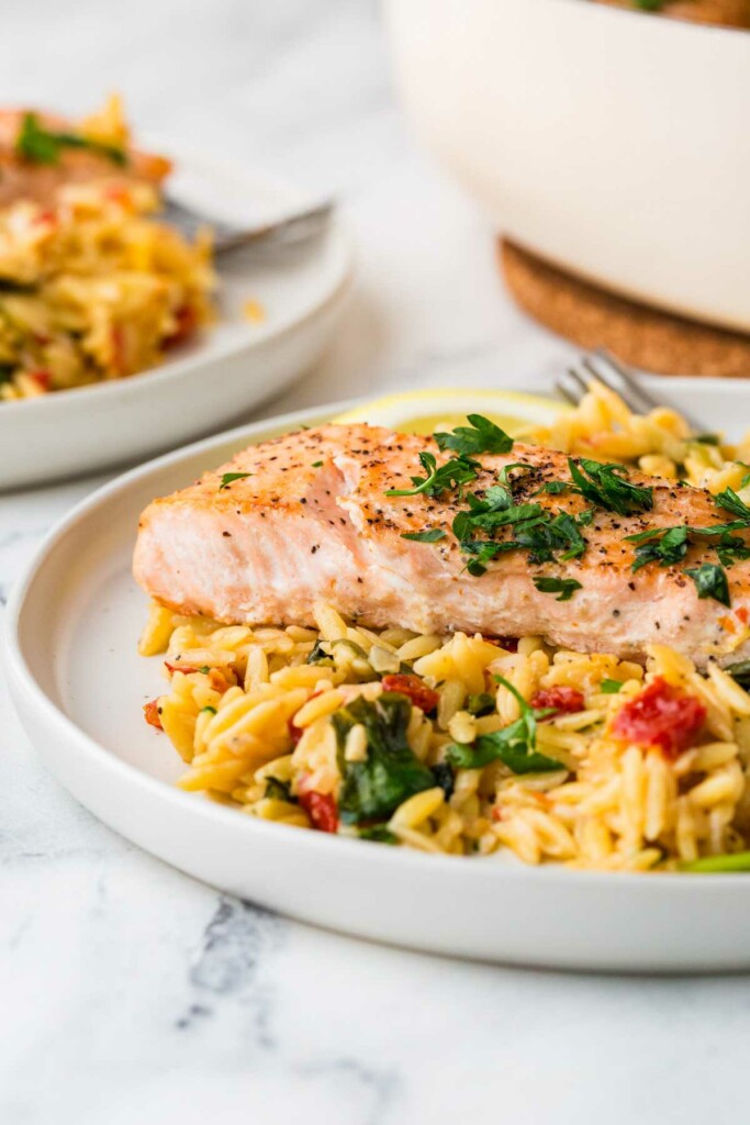 A one pan lemon orzo salmon on a white plate with a bowl in the background.