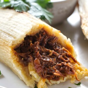 Close-up of tamale with shredded beef, salsa, and cilantro garnish.