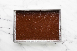 Spreading the cake batter in a 13 x 9 inch cake pan.