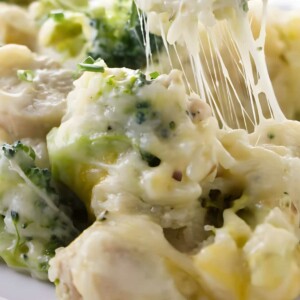 Fork lifting cheesy broccoli chicken casserole with melted cheese and chives.