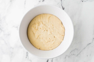 A bowl of dough for sourdough flat bread recipe.