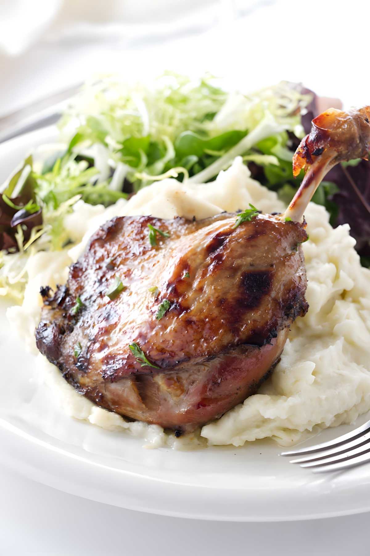 Sous vide duck leg on mashed potatoes with herbs and mixed green salad.