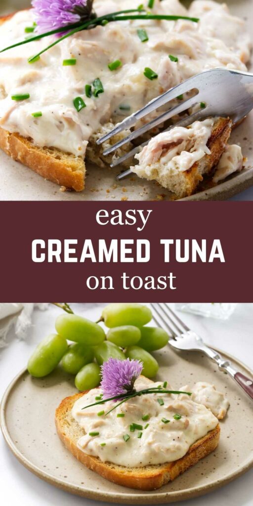 Creamed tuna on a piece of toast.