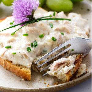 Toasted bread topped with creamed tuna.
