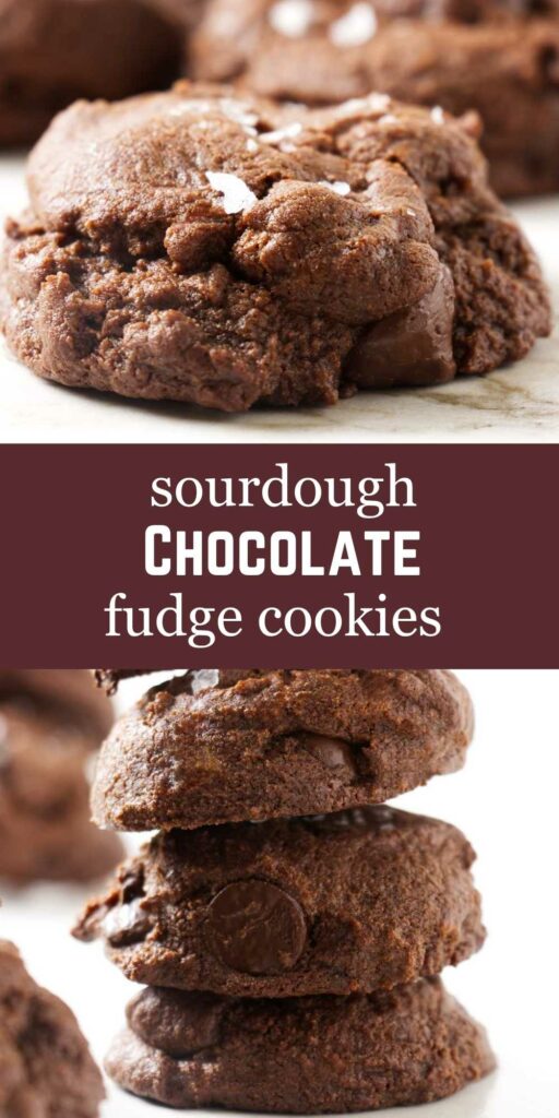 A chocolate cookie topped with flaky salt.