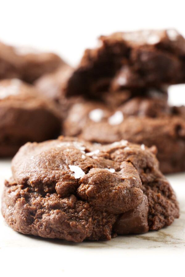 A thick chocolate cookie made with sourdough discard.