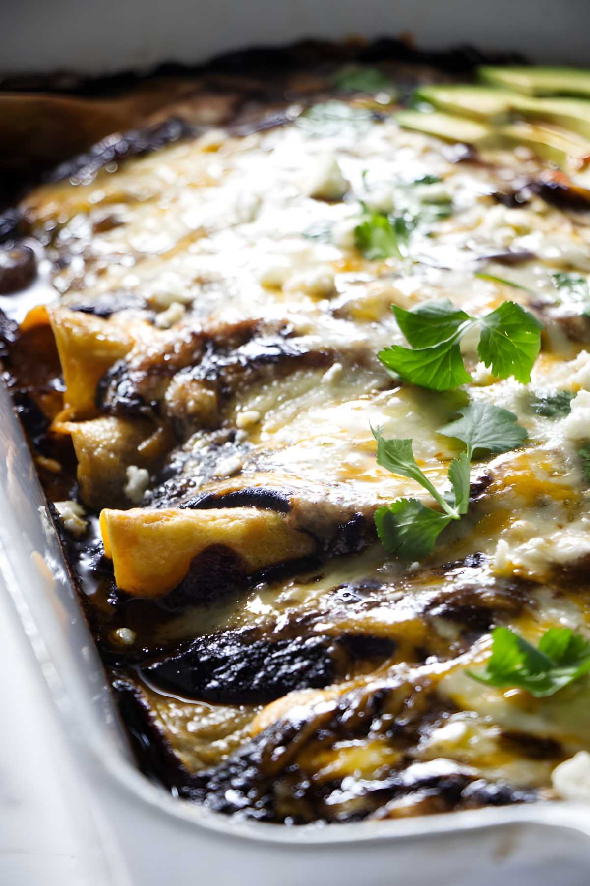 Close-up of Mexican mole enchiladas with cilantro and shredded chicken.