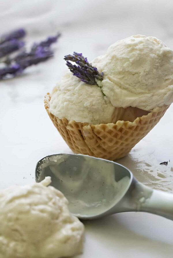 Vanilla lavender ice cream in waffle cup with lavender, scoop and lavender background.