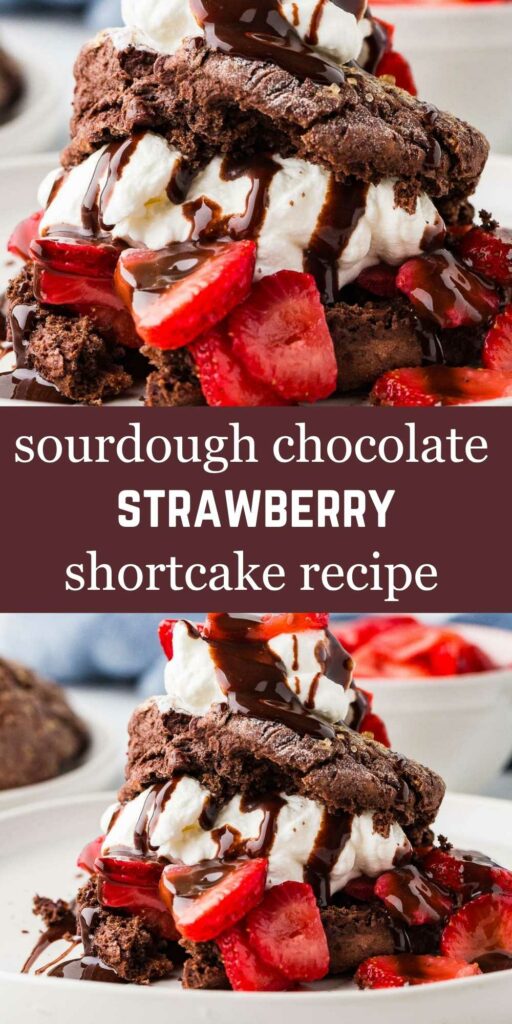 A strawberry chocolate shortcake made with sourdough discard.
