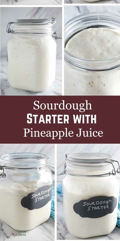 Collage of labeled jars with bubbly sourdough starter and pineapple juice text.