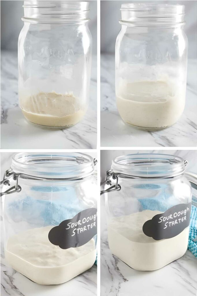 Four glass jars showing sourdough starter progress from mixture to bubbly.