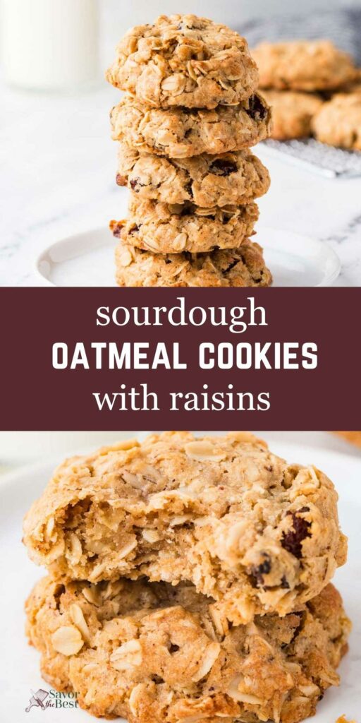 Raisin and oatmeal cookies on a white plate.