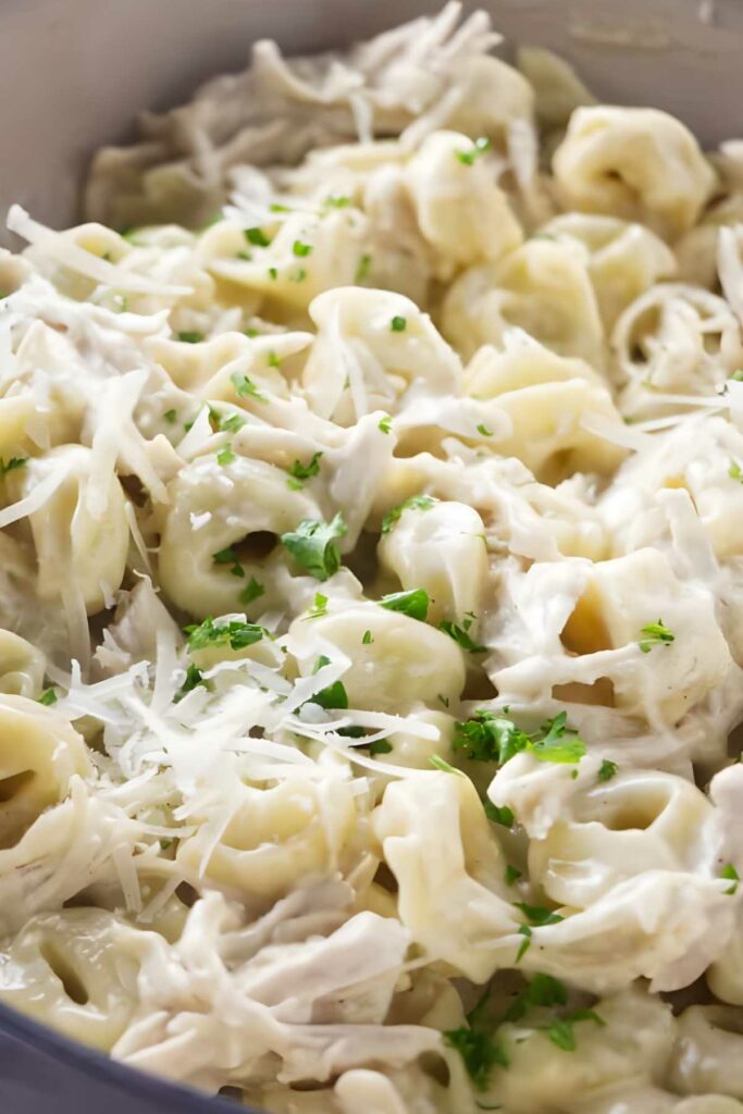Creamy tortellini pasta with shredded chicken, Parmesan, and parsley garnish.