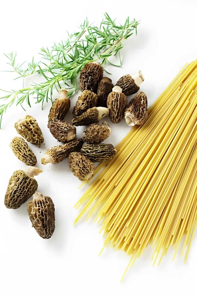 Uncooked spaghetti, morel mushrooms, and rosemary sprigs on a white background.