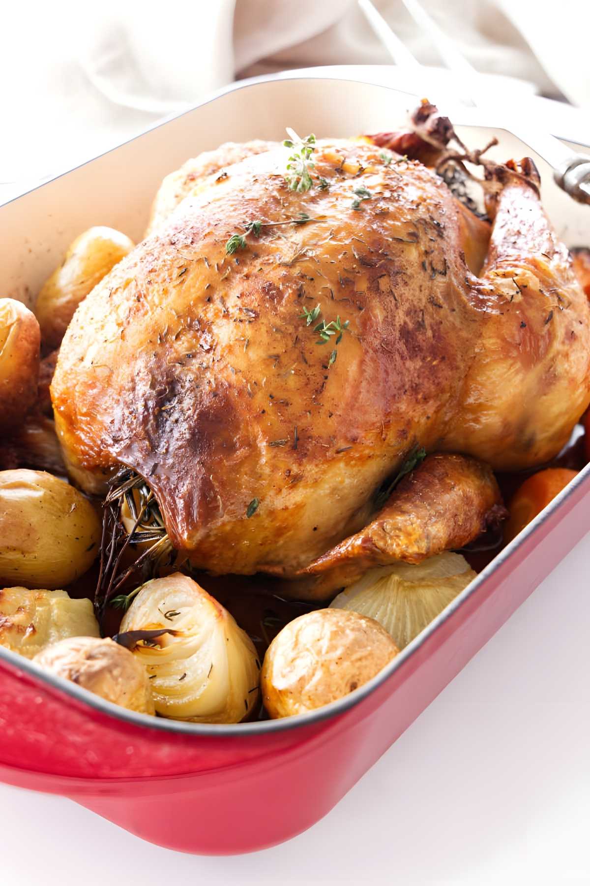 Roasted chicken with herbs in red dish, potatoes and onions.