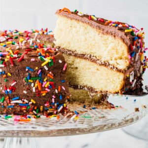 A spatula serving a slice of sourdough vanilla cake.