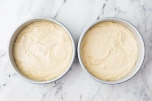 Cake batter in two round cake pans.