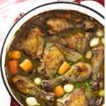 Braised chicken, carrots, and onions in red Dutch oven, top view.