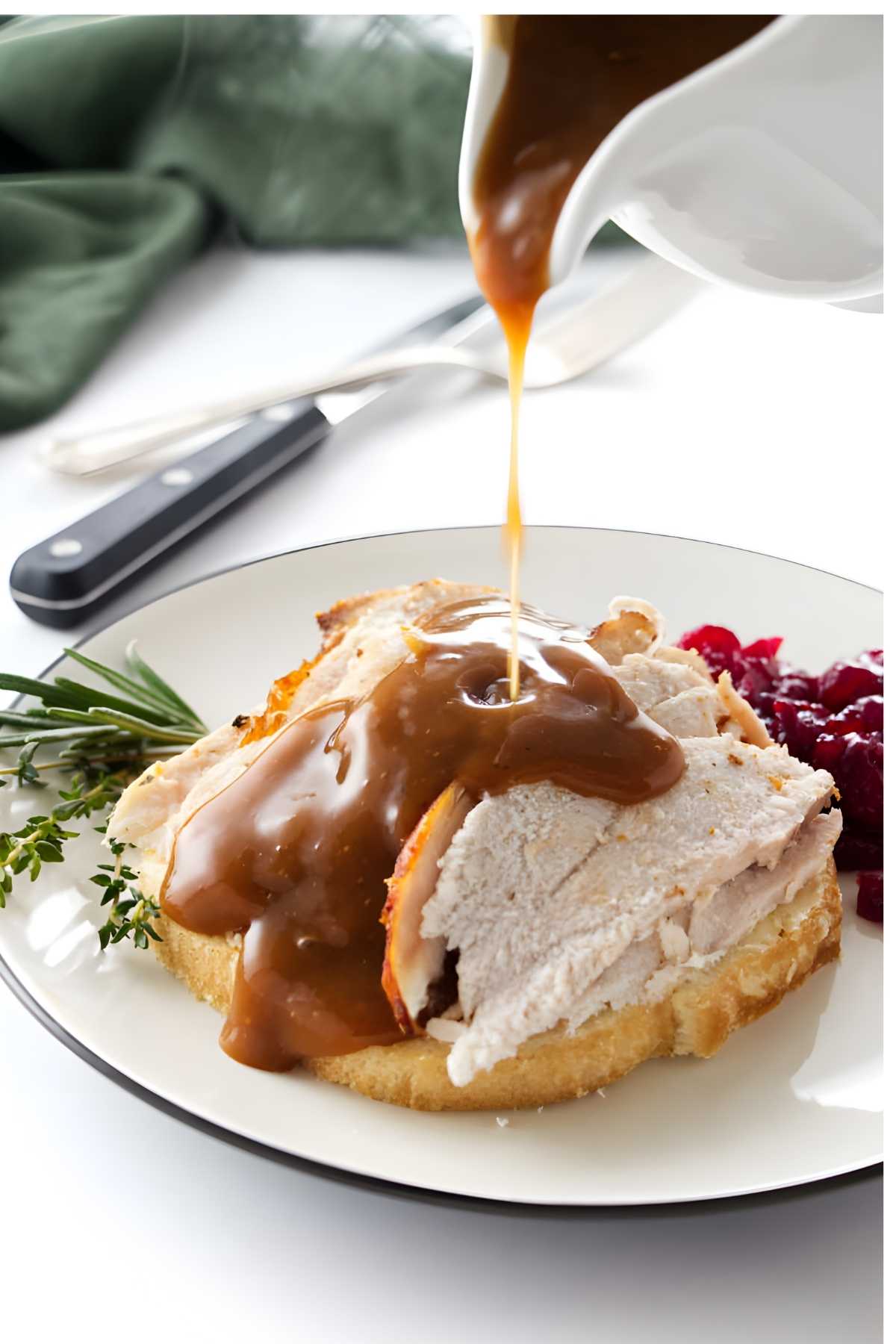 Turkey with gravy on bread, garnished with herbs and cranberry sauce.