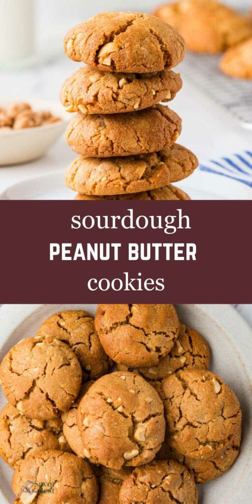 Several sourdough peanut butter cookies on a white plate.