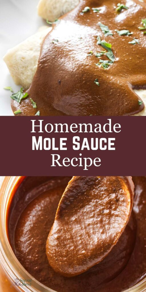 Close-up of enchiladas with mole sauce and herbs; spoon in jar below.