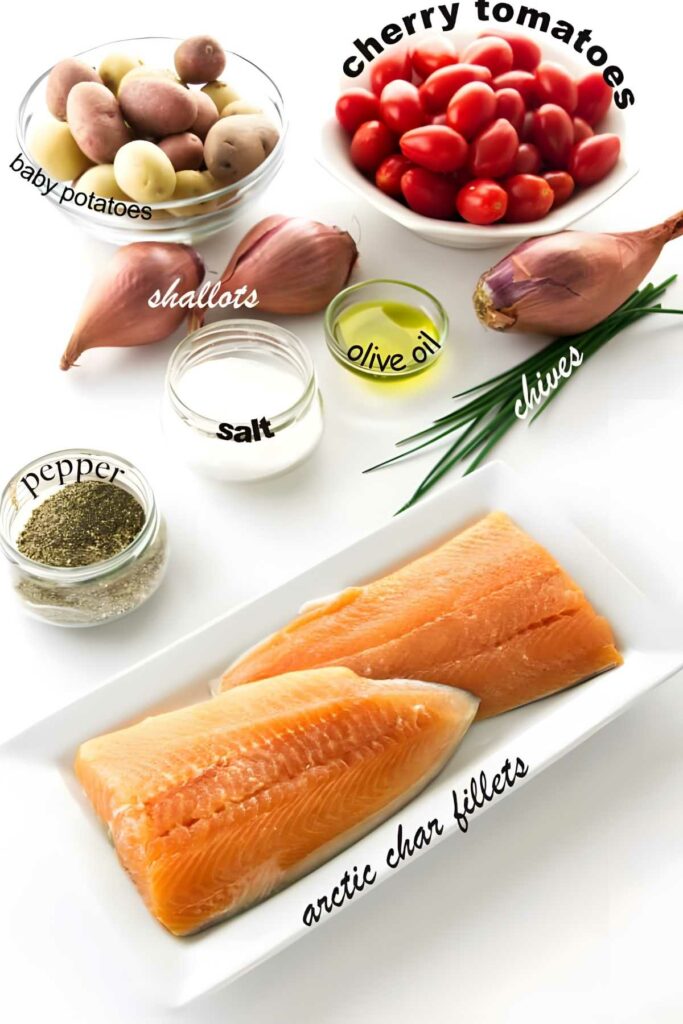 Recipe ingredients, including arctic char and vegetables, labeled on a white surface.