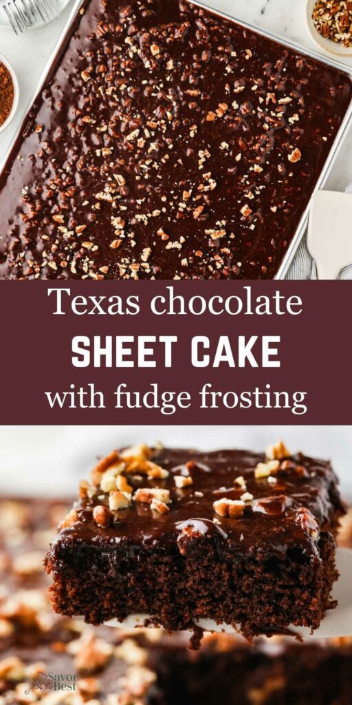 A chocolate sheet cake in a sheet pan and a slice with fudge icing on top.