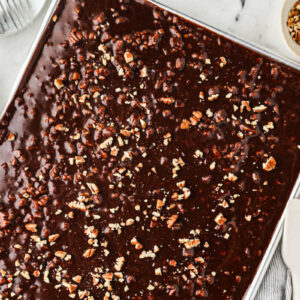 A chocolate sheet cake with fudge icing and chopped pecans on top.