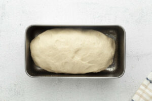 A shaped loaf of bread dough in a bread pan.